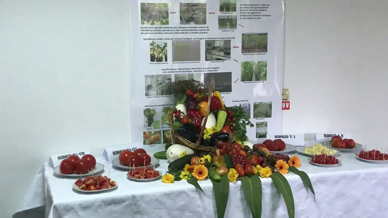 Expoziție de tomate și legume la Sărbătoarea Tomatelor din Ștefănești