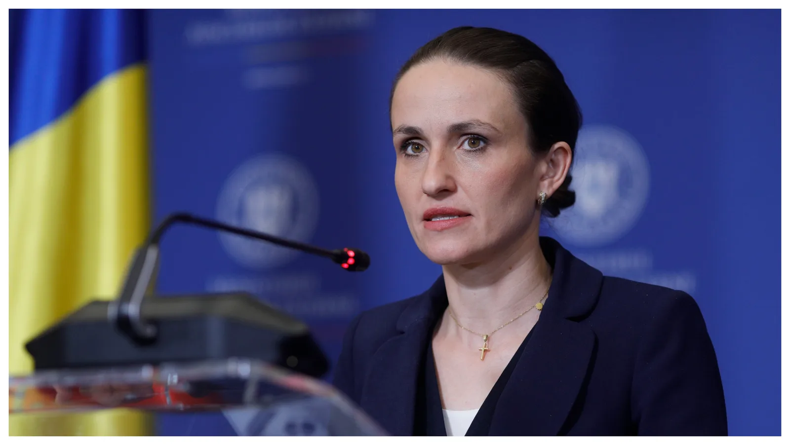 Oana Țoiu discută despre importul de energie din Ucraina.