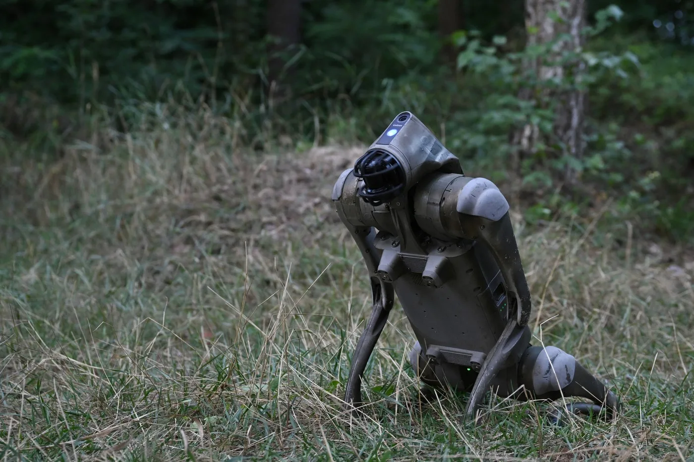 Robot patruped în natură, pregătit pentru diverse activități industriale.