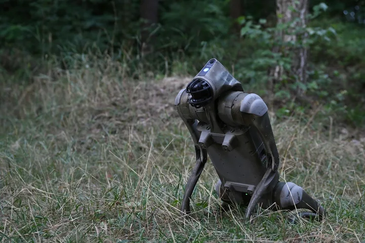 Robot patruped în natură, pregătit pentru diverse activități industriale.