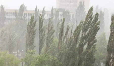 Ploi abundente și vânt puternic afectează peisajul urban.