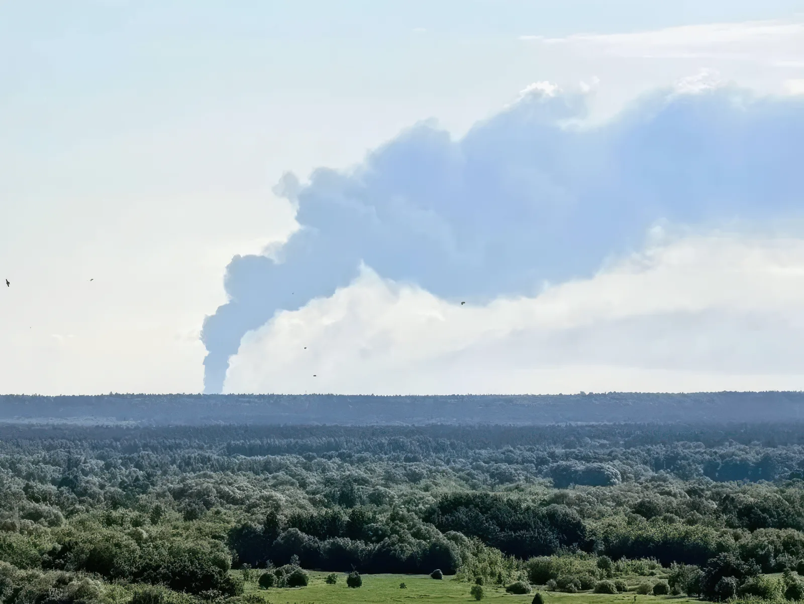 Fum gros se ridică deasupra unei zone forestiere, semn al unei explozii recente.