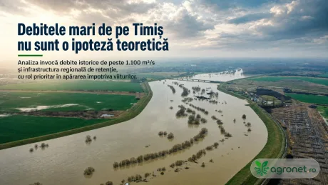 Râul Timiș în perioada de viituri, cu peisaj verde și nori pe cer.