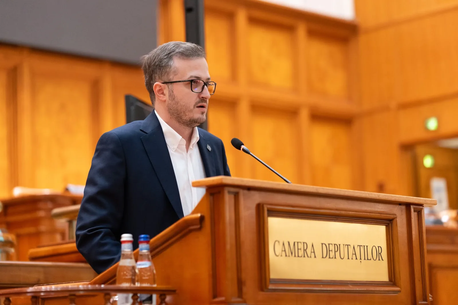 Ștefan Avrămescu susține discuții politice între AUR și alte partide.