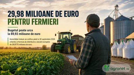 Fermier contemplând câmpul, cu tractor în fundal, în contextul subvențiilor UE.