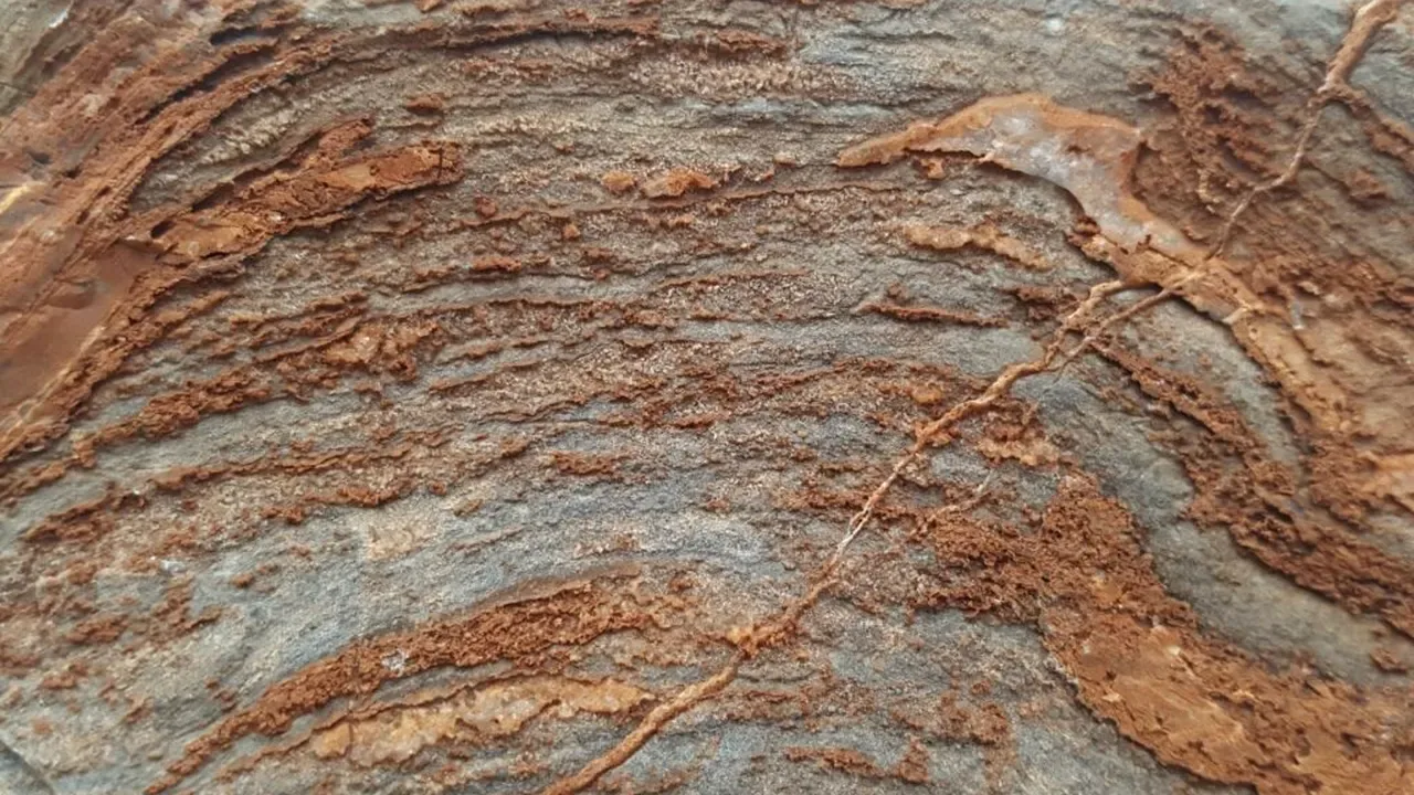 Stromatolite vechi, formate de microorganisme în medii hidrotermale.