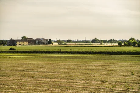 Peisaj agricol cu câmpuri verzi și clădiri la orizont.