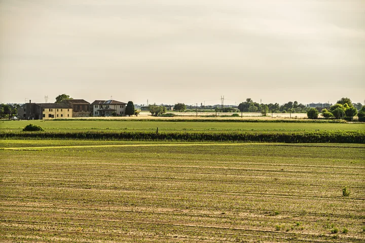 Peisaj agricol cu câmpuri verzi și clădiri la orizont.
