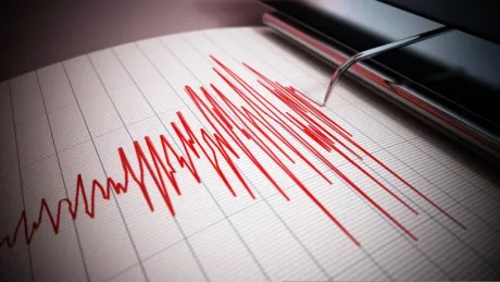 Grafic seismografic cu activitate seismică recentă în Vrancea.