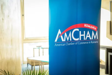 Banner AmCham România, subliniind importanța reformelor pentru credibilitatea economică.