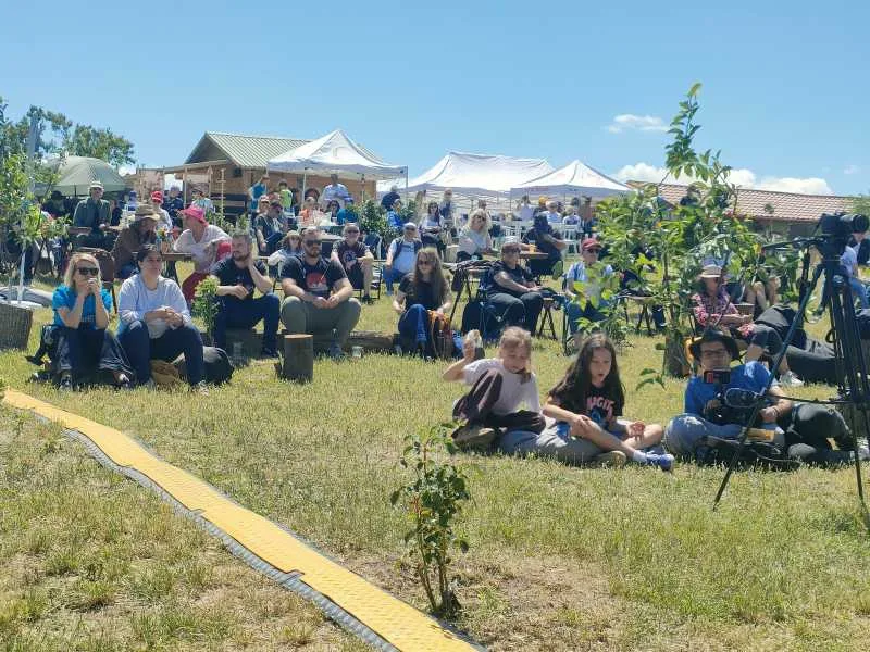 Public numeros la festival, bucurându-se de muzică și atmosferă plăcută în natură.