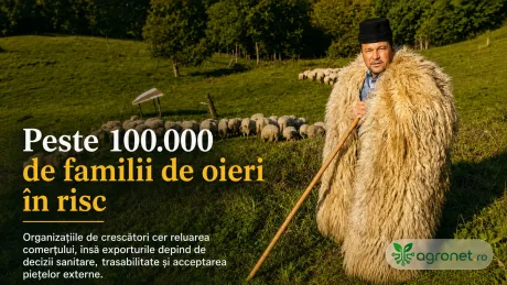 Crescător de ovine pe câmp, cu turmă de oi în fundal, îmbrăcat în haine tradiționale.