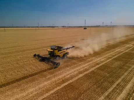 Recoltarea grâului pe un câmp vast, cu un utilaj agricol în acțiune.