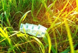 Bancnote de euro pe iarbă, simbolizând sprijinul financiar pentru fermieri.