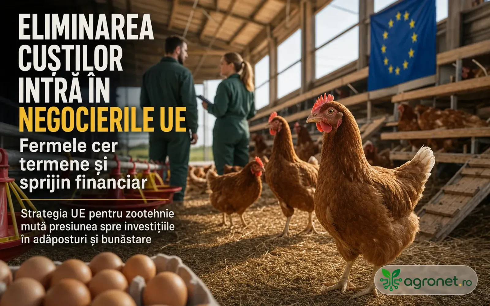Comisia Europeană pregătește eliminarea treptată a cuștilor în zootehnie - fermele cer termene clare și finanțare pentru investiții estimate la circa 18 miliarde euro