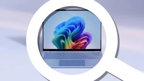 Interfața de căutare Windows 11 cu accent pe rezultate locale și fără Bing.