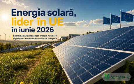 Panouri solare pe câmp, simbolizând creșterea energiei verzi în UE.