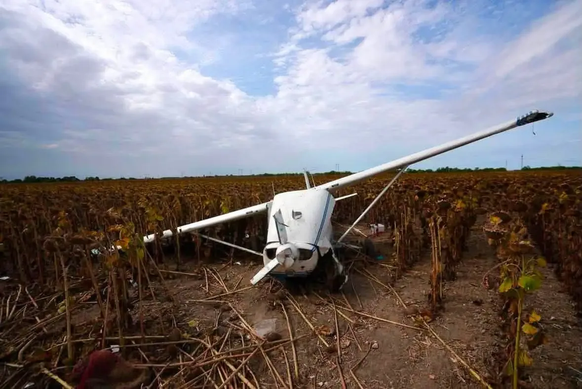 Avion Cessna avariat într-un lan de floarea-soarelui după o aterizare forțată.
