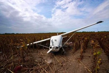 Avion Cessna avariat într-un lan de floarea-soarelui după o aterizare forțată.