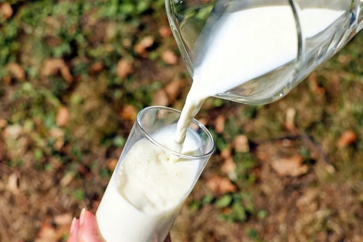 Lapte turnat într-un pahar, pe fundal natural, simbolizând industria lactatelor.