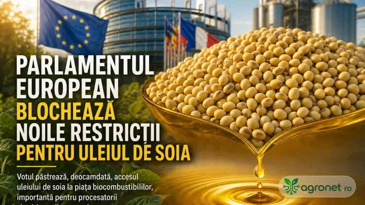 Decizia Parlamentului European afectează piața uleiului de soia și biocombustibilii.