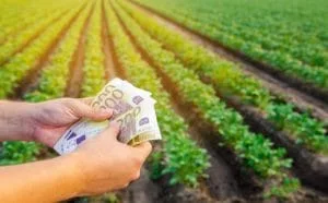 Bancnote de euro ținute în mână pe un câmp agricol verde.