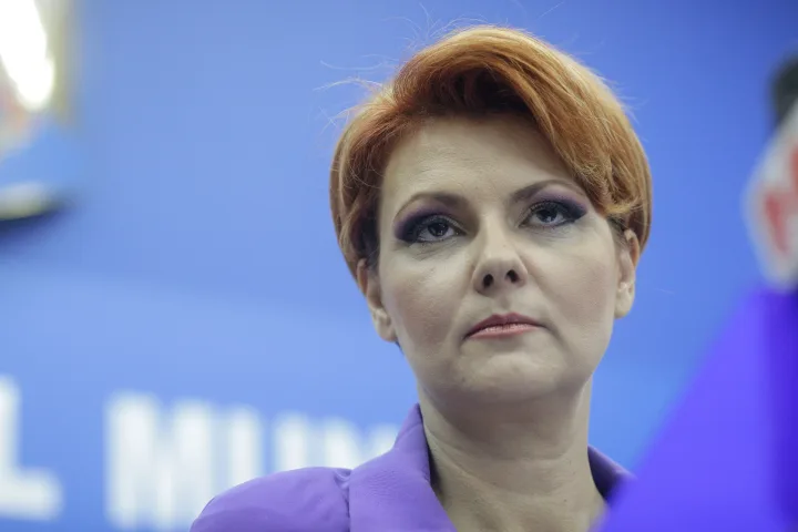 Lia Olguța Vasilescu în timpul unei conferințe de presă.