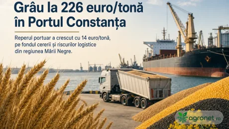 Grâul de panificație ajunge la 226 euro/tonă în Portul Constanța, dar costurile de transport afectează venitul fermierilor.