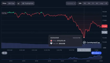 Graficul arată scăderea valorii bitcoin în ultimele luni.
