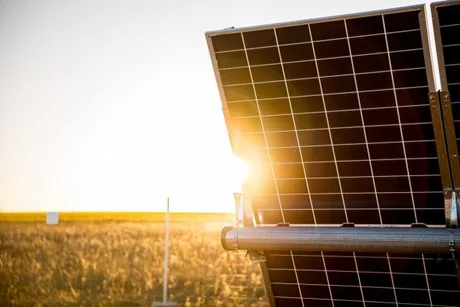 Panouri solare strălucind în lumina soarelui la parcul fotovoltaic Itaroșu.