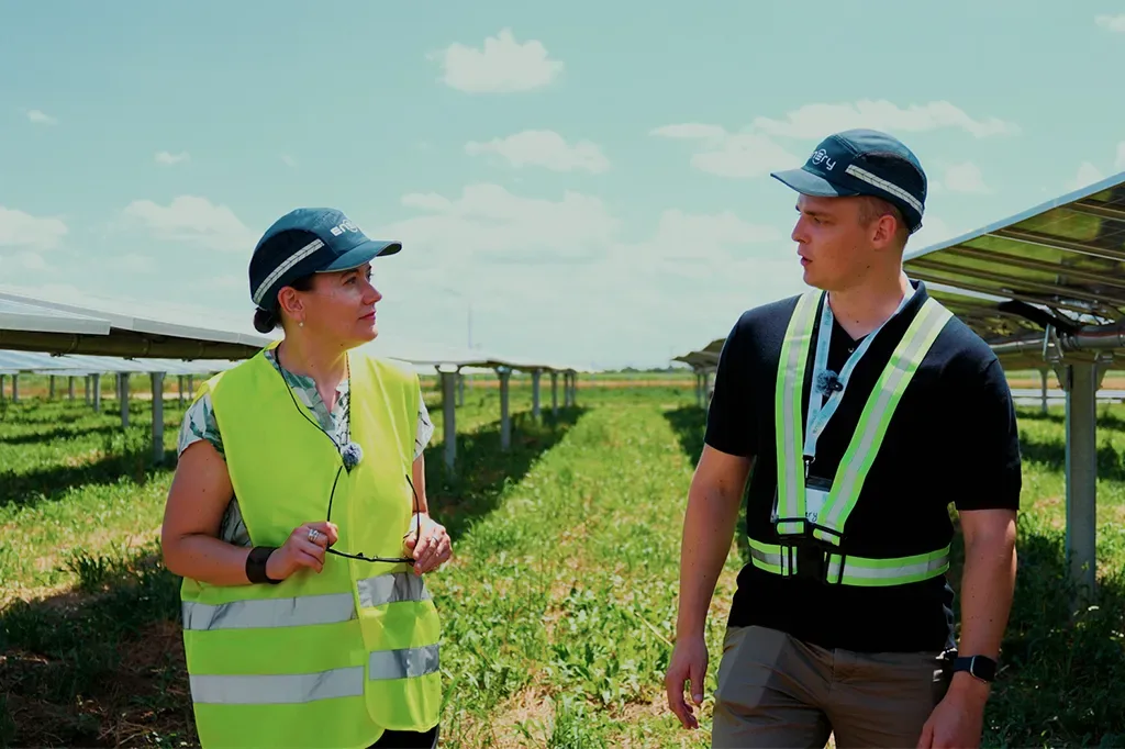 Specialiști discutând despre parc fotovoltaic în România, cu panouri solare în fundal.