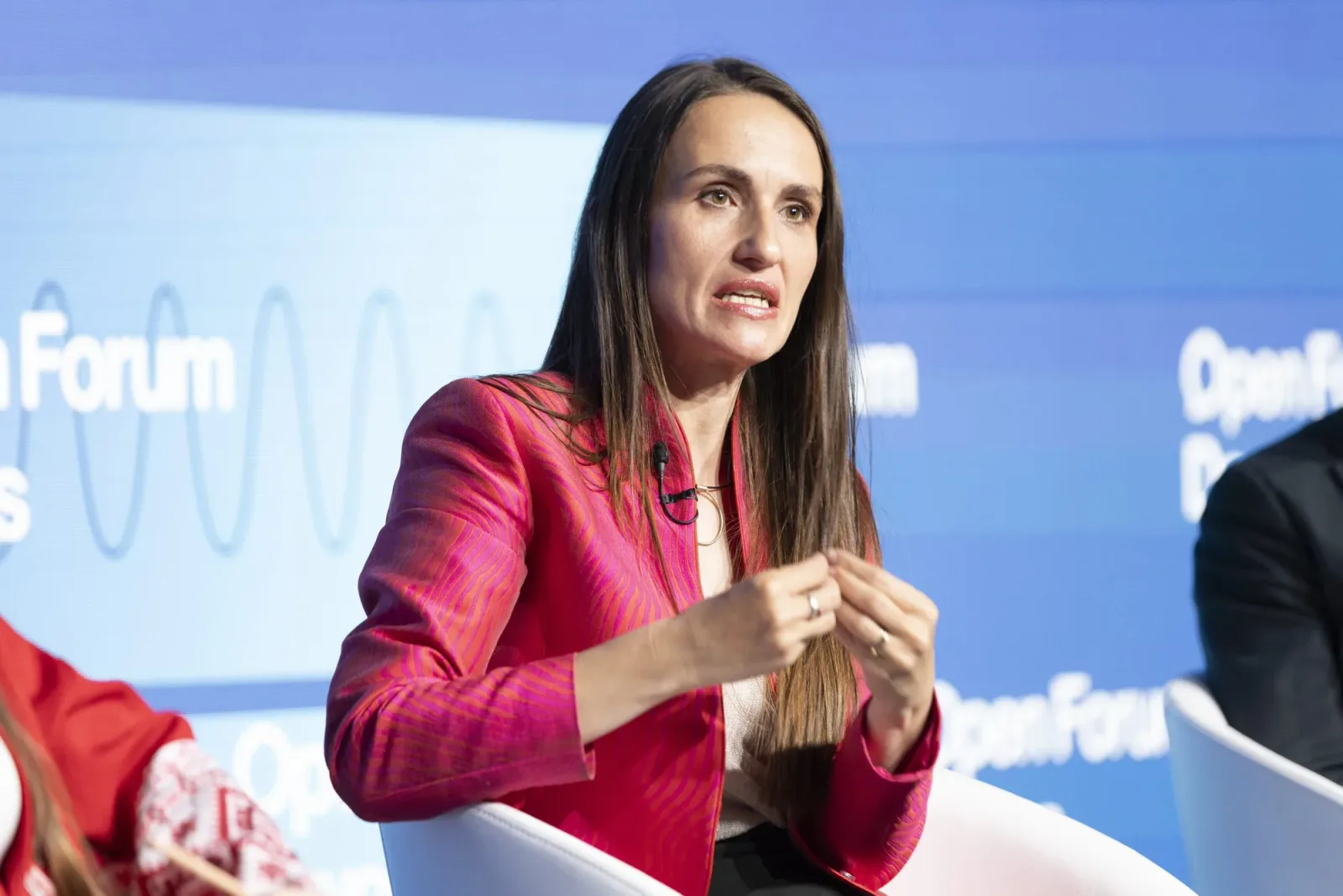 Oana Țoiu discută despre securitatea energetică la un forum.