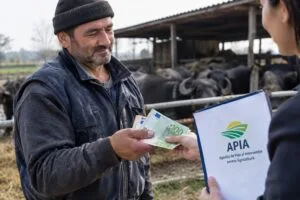 Crescător de bivolițe primește subvenții de la APIA pentru sprijin financiar.