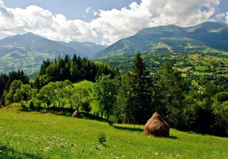 Peisaj montan din România, cu păduri verzi și coline blânde.