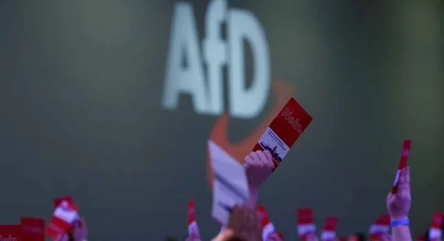 Susținători ai AfD la un miting electoral în Saxonia-Anhalt.