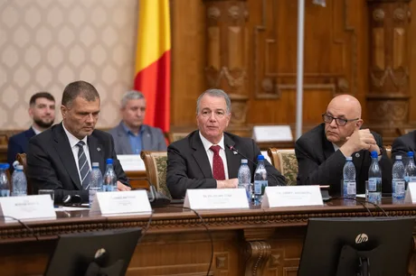 Discuții despre securitate națională la Parlamentul României, cu oficiali din SUA.