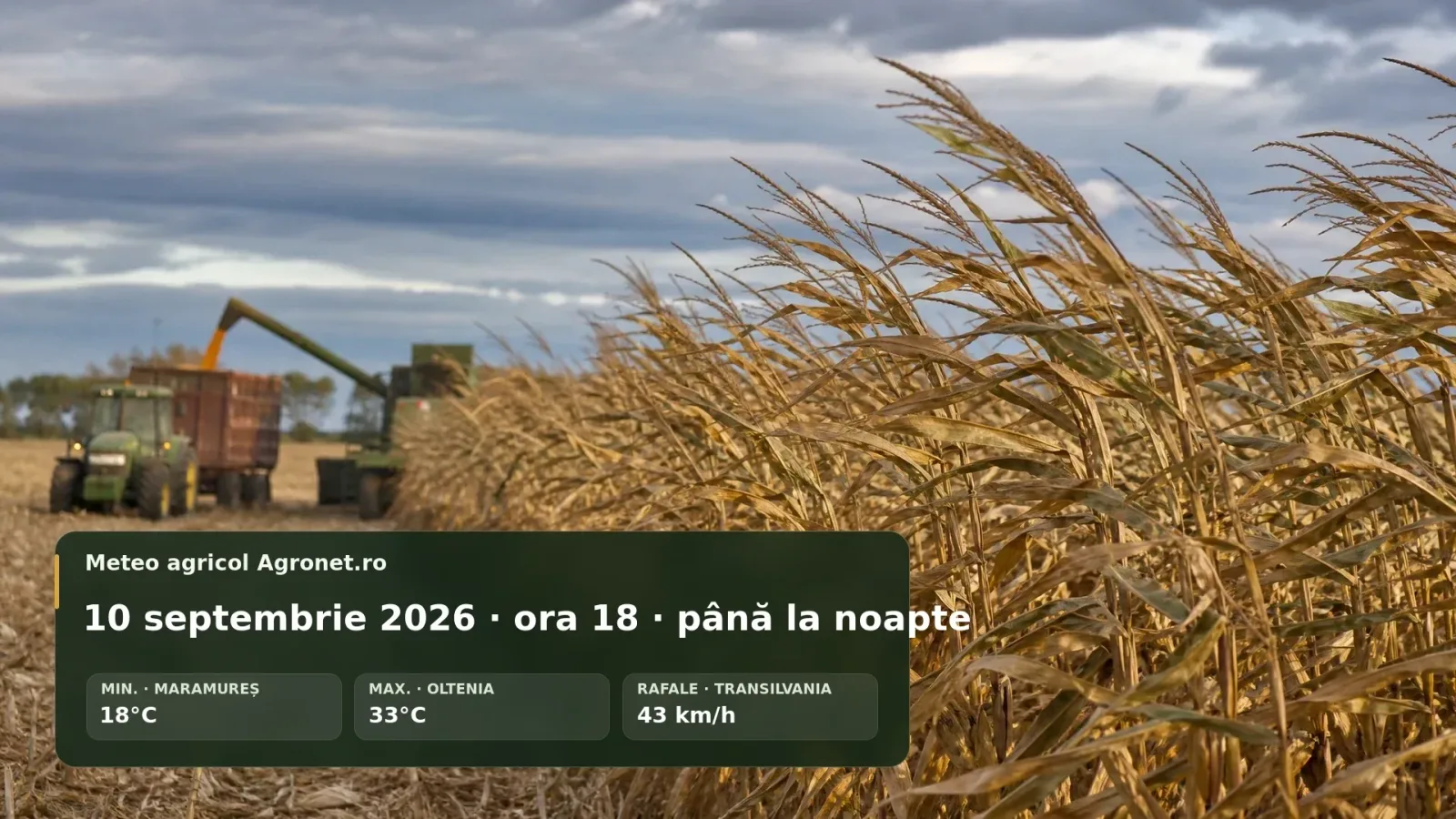 Câmp agricol afectat de vânt puternic, utilaje în acțiune sub cer noros.