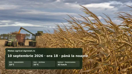 Câmp agricol afectat de vânt puternic, utilaje în acțiune sub cer noros.