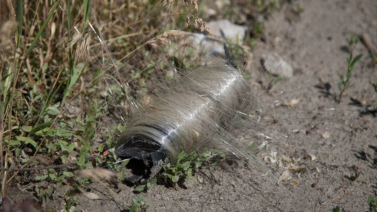 Fibră optică abandonată pe câmpul de luptă, acoperită de iarbă uscată.