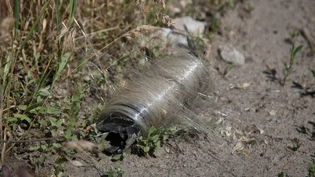 Fibră optică abandonată pe câmpul de luptă, acoperită de iarbă uscată.