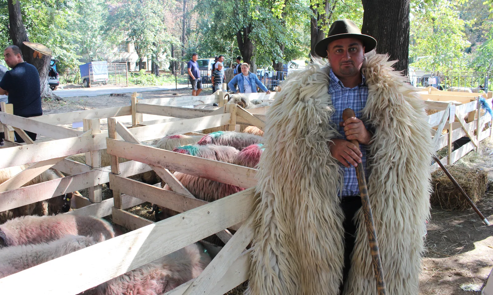 Oier îmbrăcat în haine tradiționale, stând lângă stână cu oi.