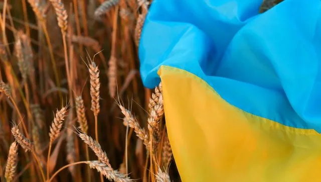 Steag ucrainean în câmp de grâu, simbolizând criza alimentară.