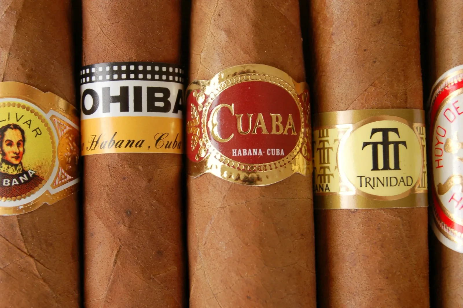Cigari cubanezi cu etichete distincte, simbol al tradiției locale.