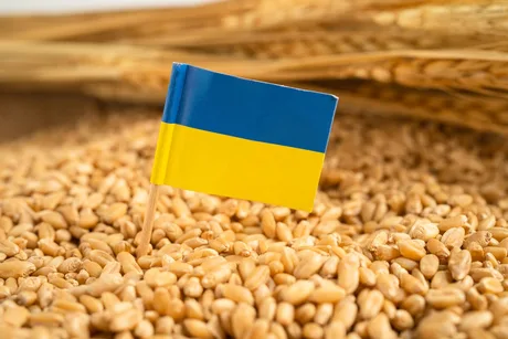 Steagul Ucrainei pe un fundal de grâu, simbolizând agricultura afectată.