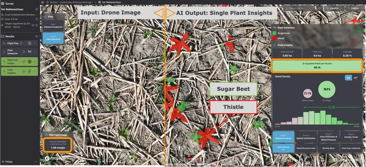 Analiza culturilor de sfeclă de zahăr și ciulin prin drone