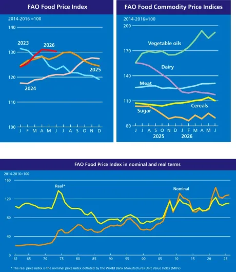Evoluția indicelui prețurilor alimentare și variațiile pe categorii în 2026.