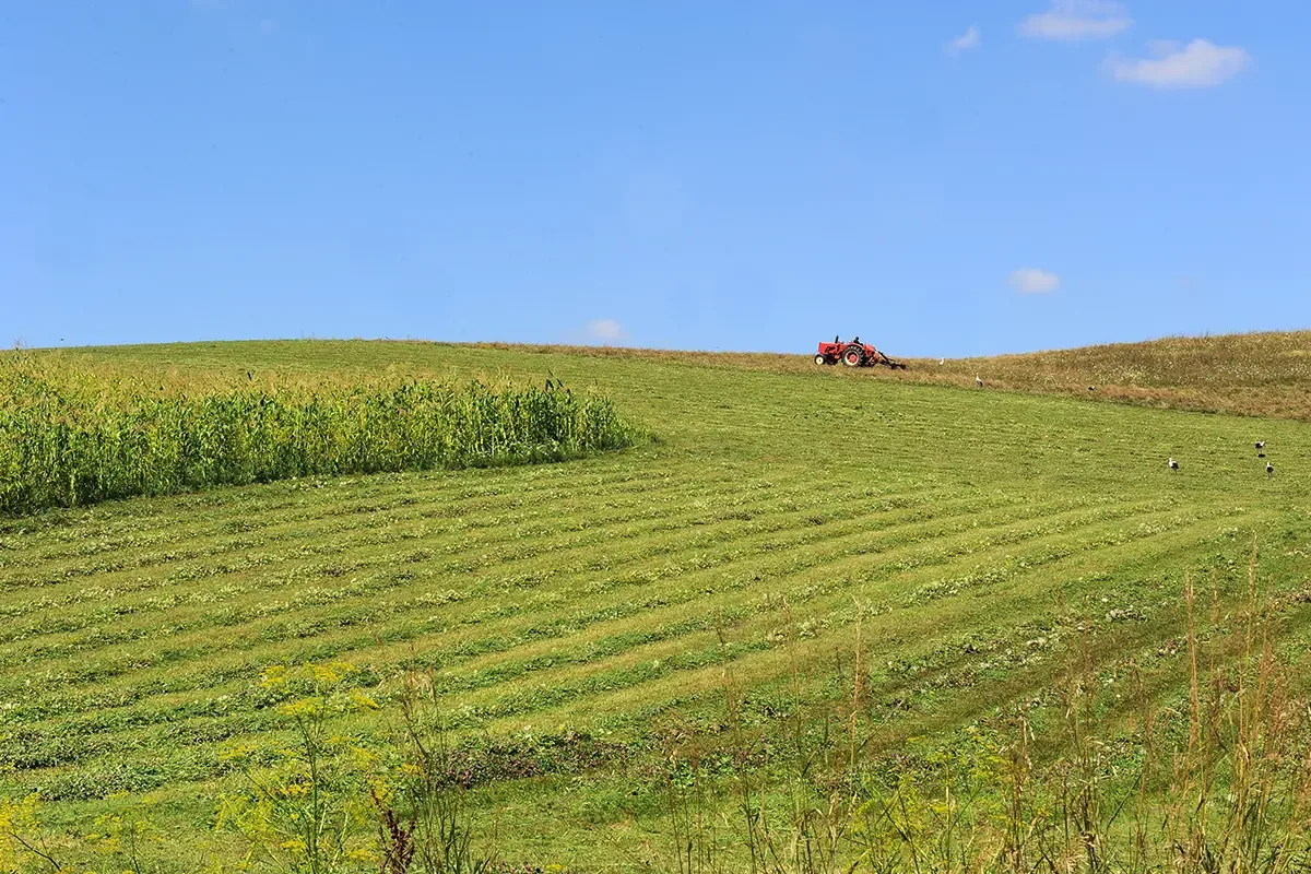 Peisaj agricol cu un tractor pe câmp verde sub cer senin.