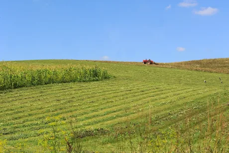 Peisaj agricol cu un tractor pe câmp verde sub cer senin.