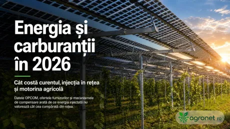 Panouri fotovoltaice și plantații de viță de vie în 2026.
