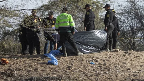 Autoritățile din Peru investighează prăbușirea unui avion turistic lângă Nazca.
